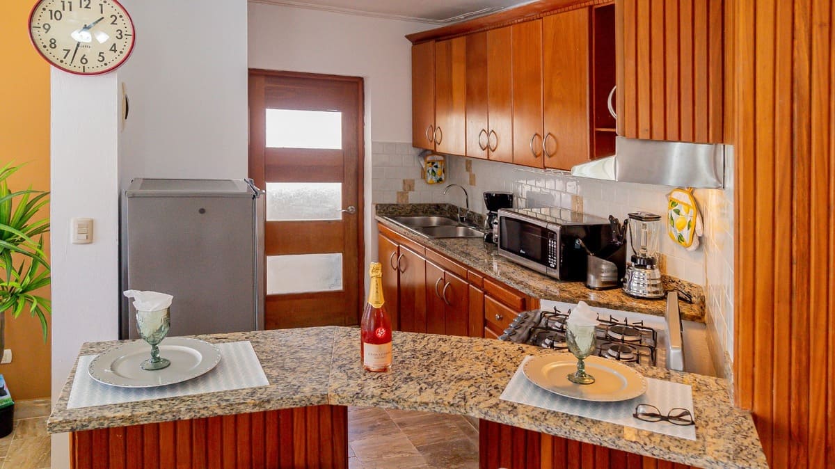 apartamento-alquiler-arenas-bavaro-cortecito-punta-cana (9)