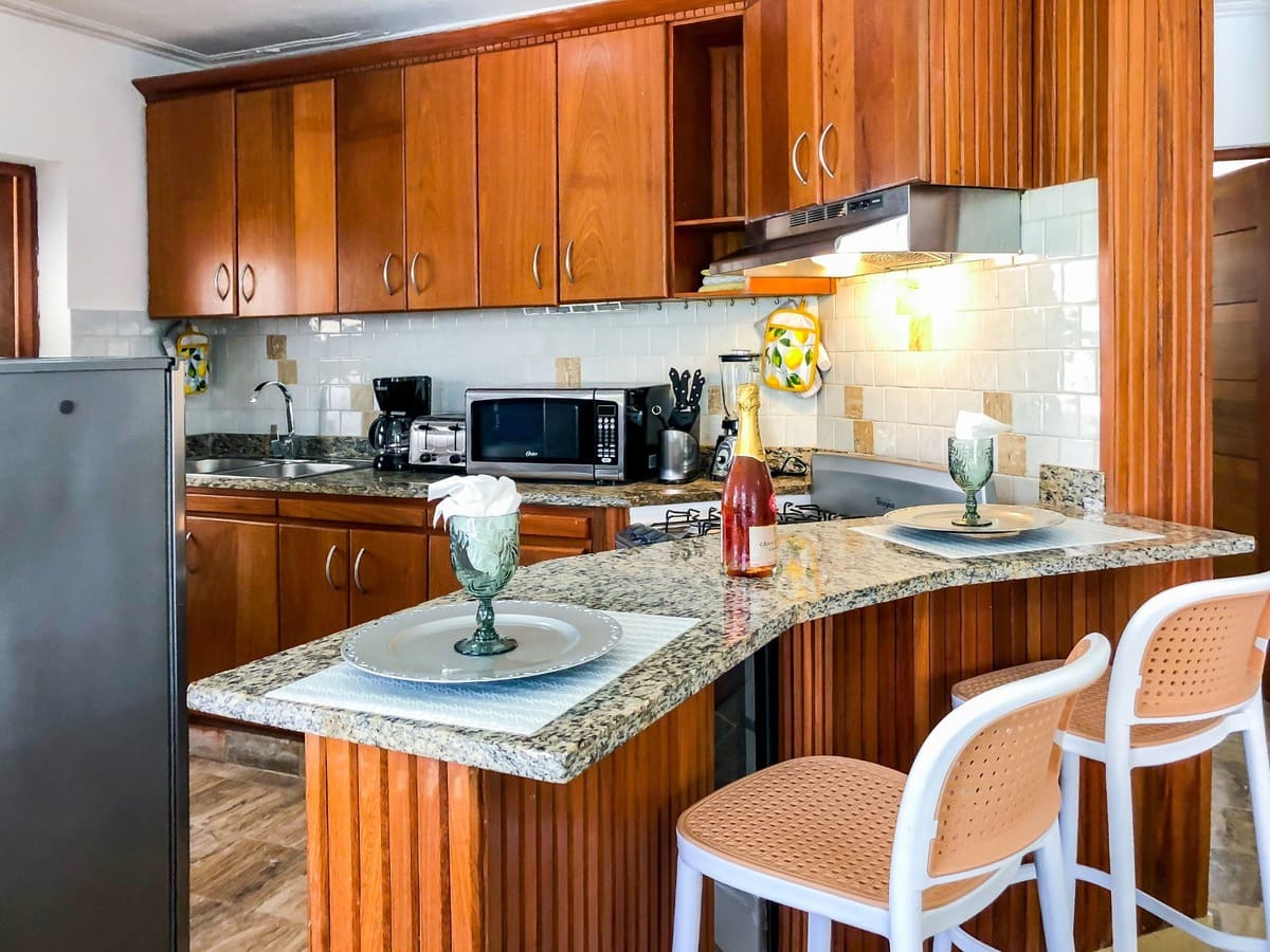 apartamento-alquiler-arenas-bavaro-cortecito-punta-cana (13)